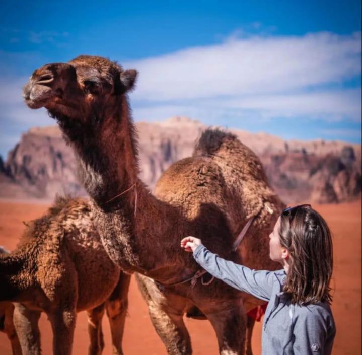Joy Of Life - Wadi Rum Camp Esterno foto